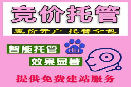 行业领先企业的网络推广与竞价经验